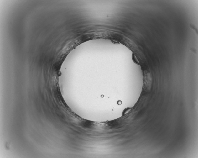 X0000102510333200808291740