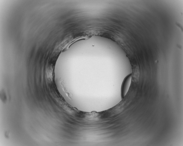 X0000102510334200808291740