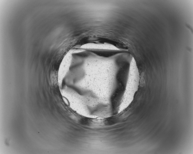 X0000102510335200808291739