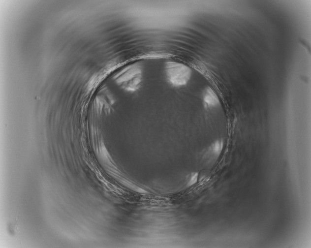 X0000102510337200808291739