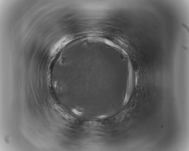 X0000102510339200808291739