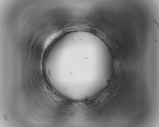 X0000102510340200808291739