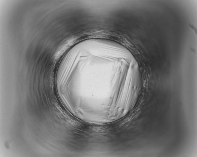 X0000102510341200808291739