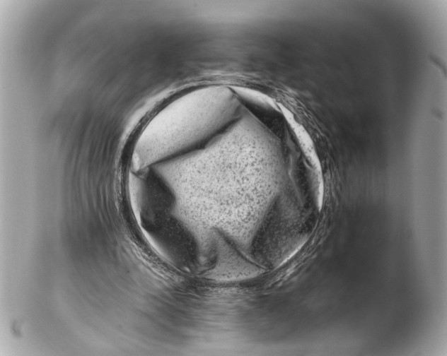 X0000102510342200808291739