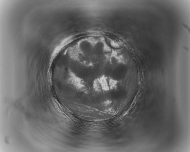 X0000102510343200808291739