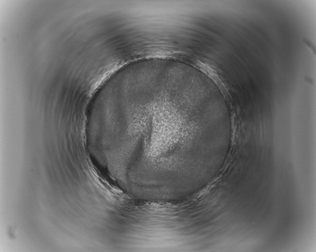 X0000102510346200808291739
