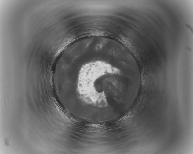 X0000102510347200808291739