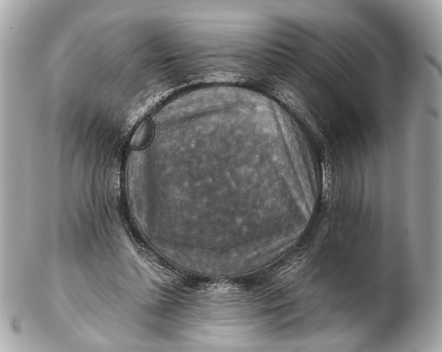 X0000102510348200808291739