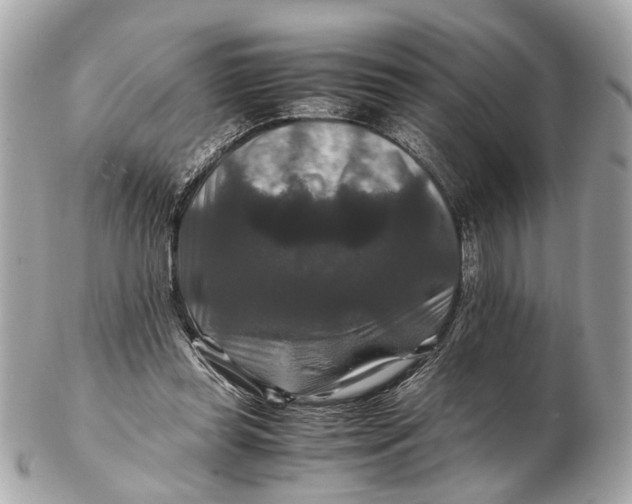 X0000102510349200808291739