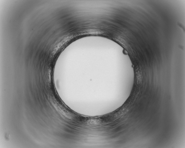 X0000102510350200808291739