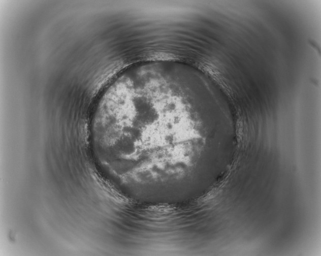 X0000102510351200808291739