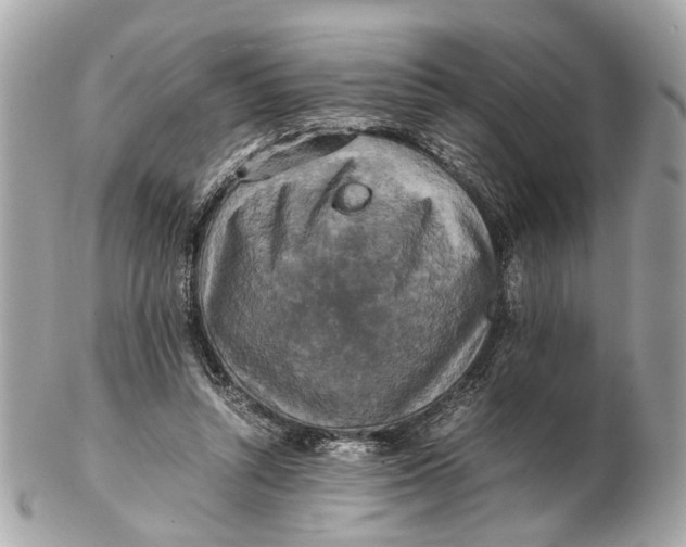 X0000102510352200808291739