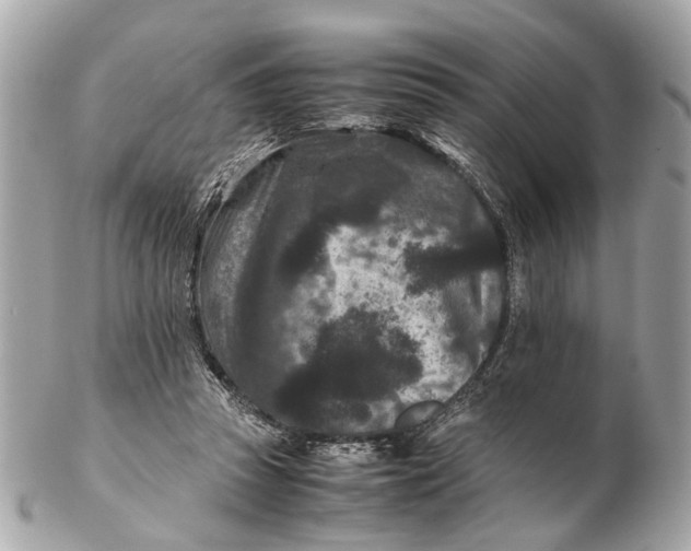 X0000102510353200808291739
