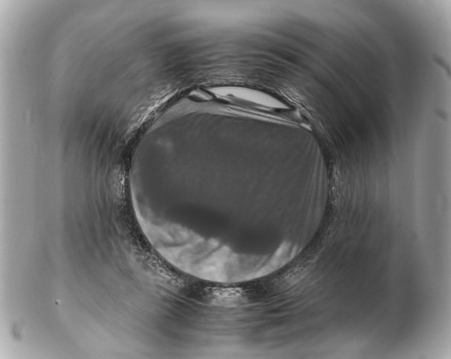 X0000102510355200808291739