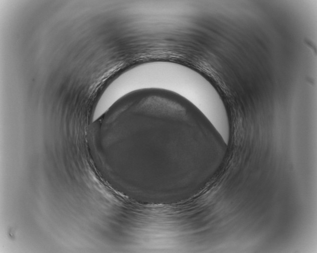 X0000102510356200808291739