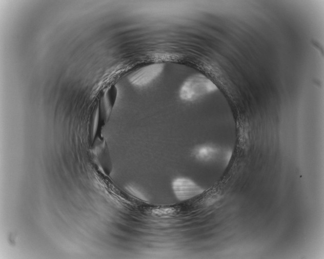 X0000102510357200808291739