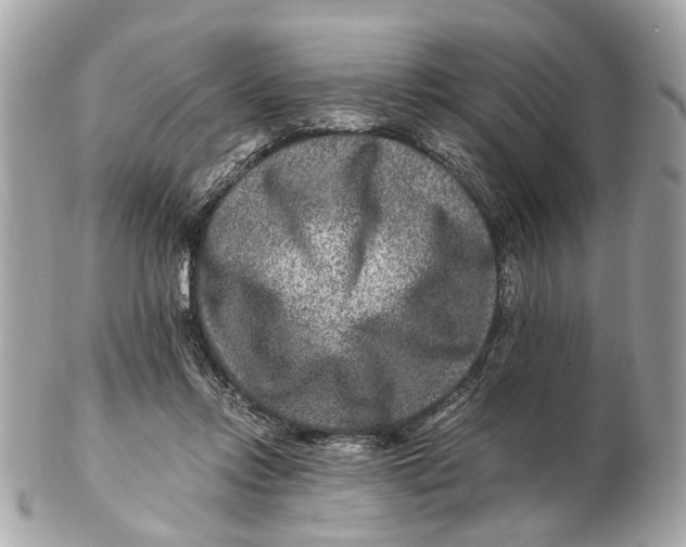 X0000102510358200808291739