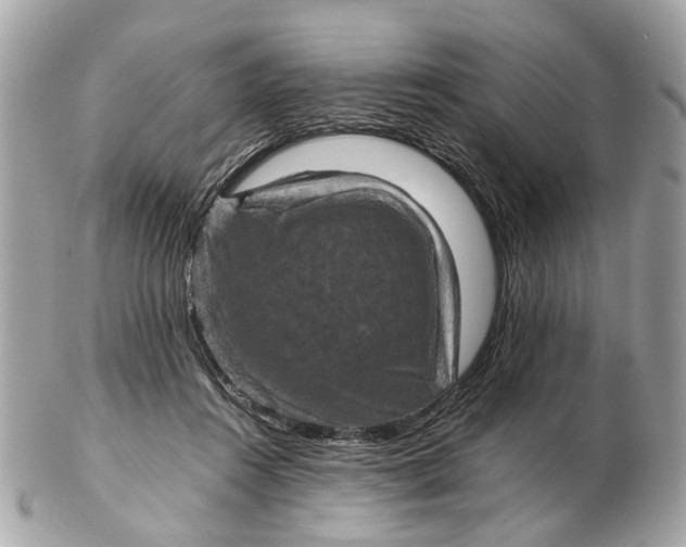 X0000102510360200808291739
