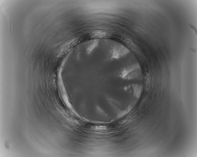 X0000102510361200808291739