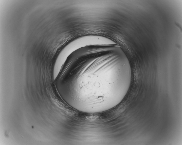 X0000102510362200808291739
