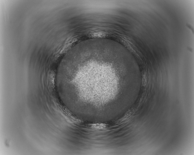 X0000102510363200808291739
