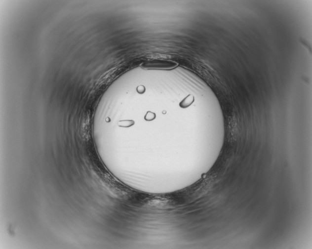 X0000102510364200808291739