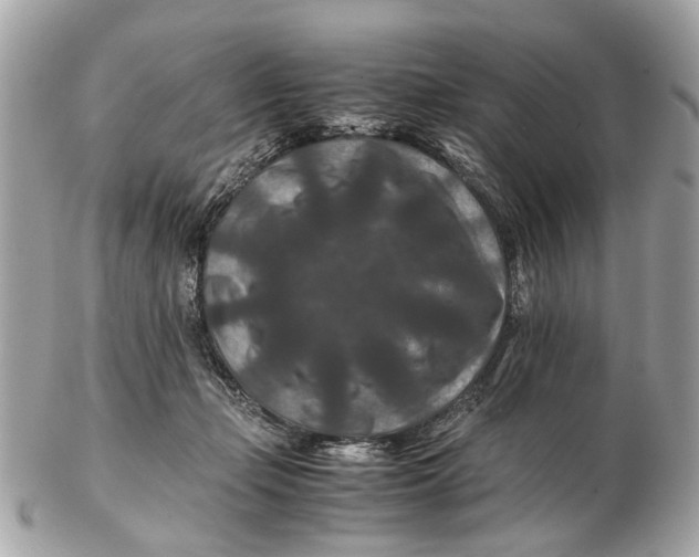 X0000102510365200808291739