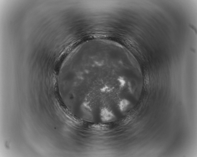 X0000102510367200808291739