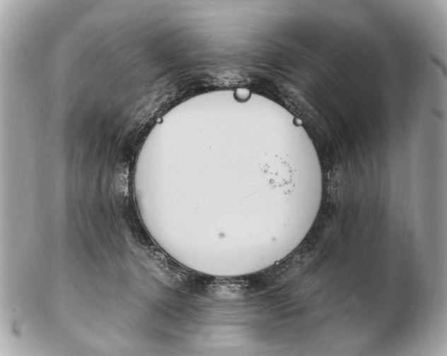 X0000102510368200808291739