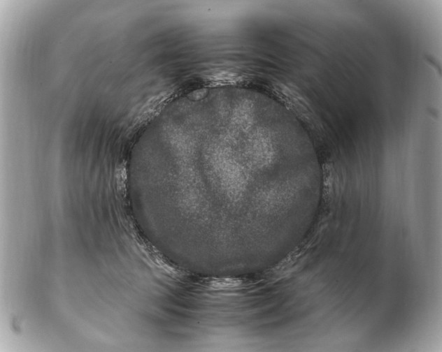 X0000102510369200808291739