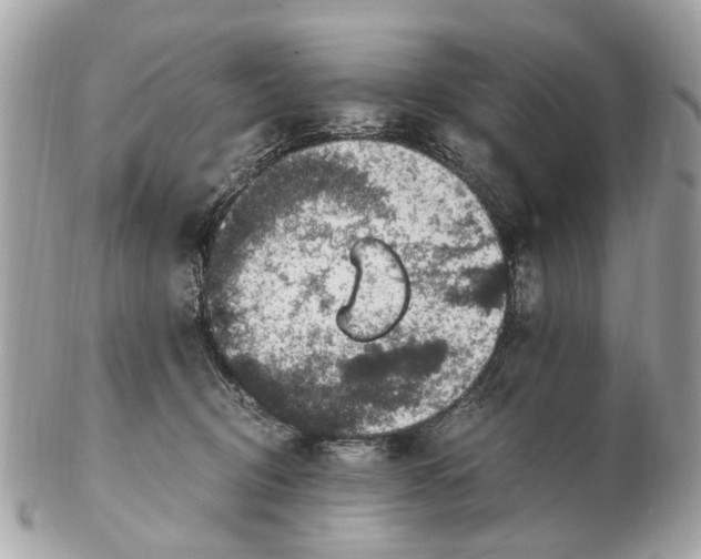 X0000102510370200808291739