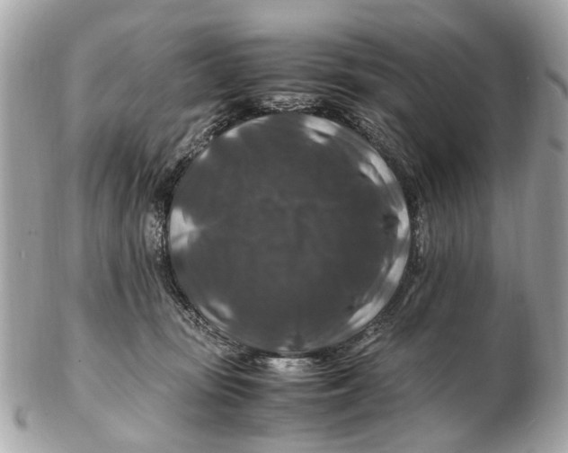 X0000102510371200808291739
