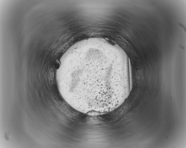X0000102510372200808291739