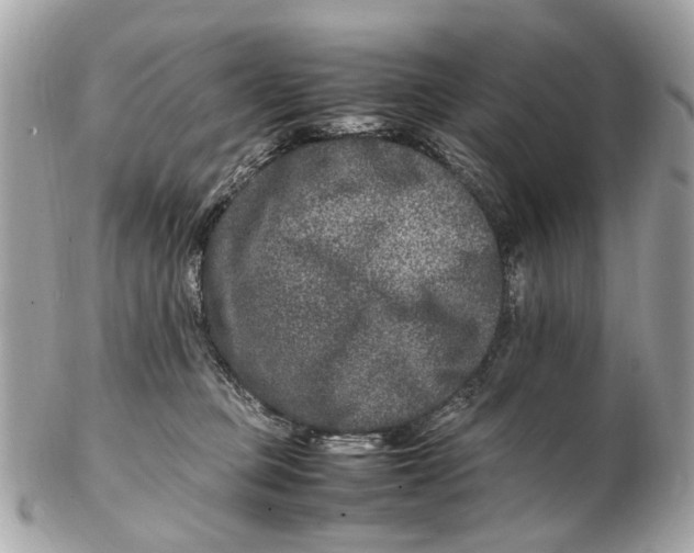 X0000102510373200808291739