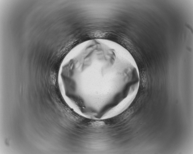X0000102510374200808291739