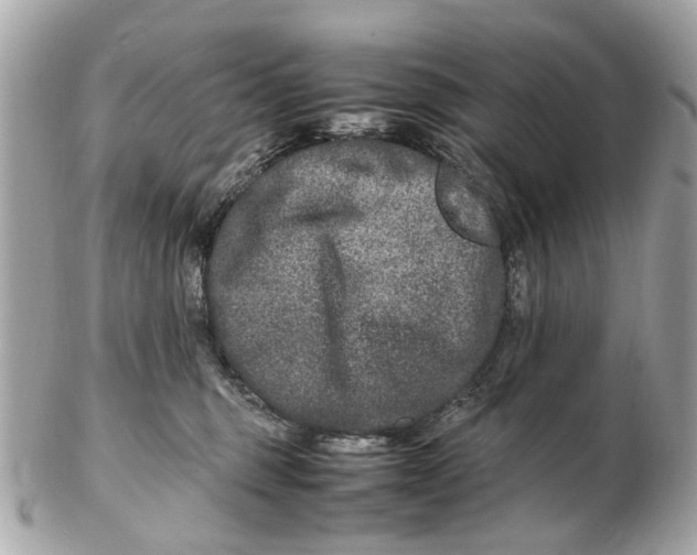 X0000102510375200808291739
