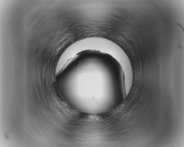 X0000102510376200808291739