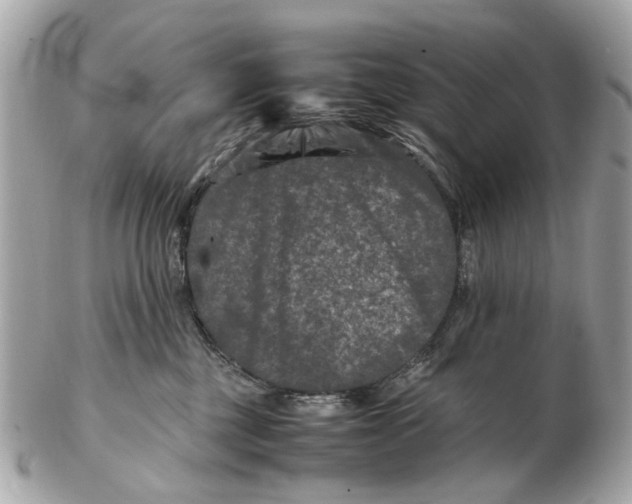 X0000102510377200808291739