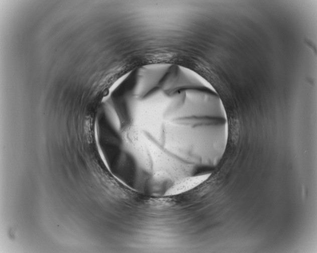 X0000102510378200808291739