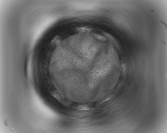 X0000102510381200808291739