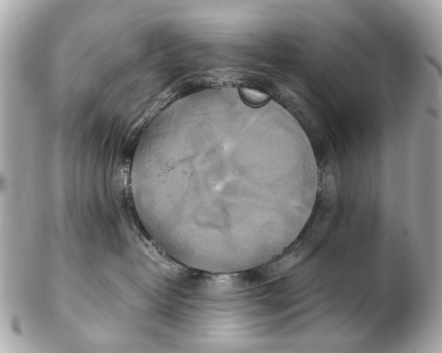 X0000102510382200808291739