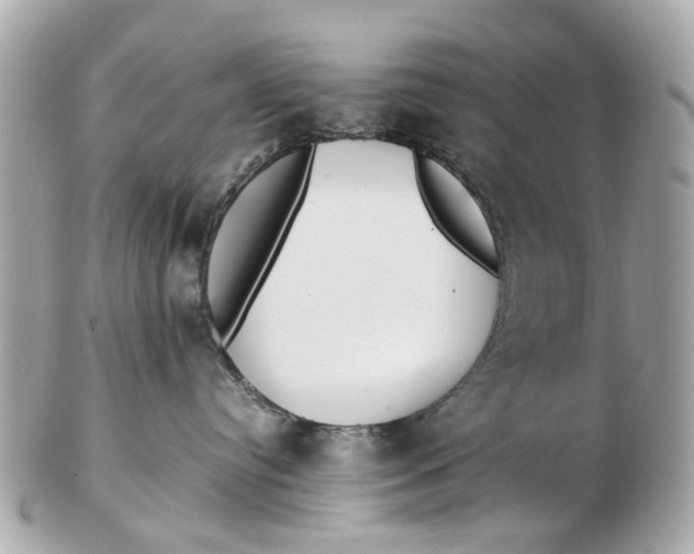 X0000102510384200808291739