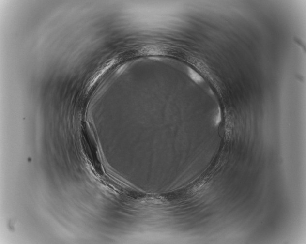 X0000102510386200808291739