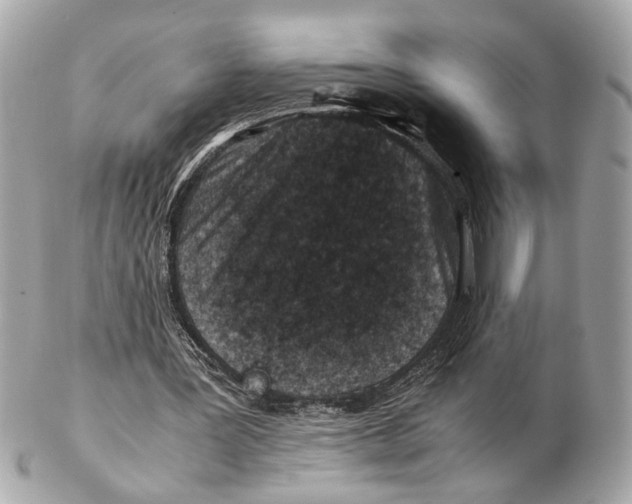 X0000102510387200808291739