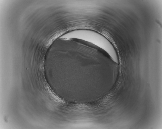 X0000102510389200808291739