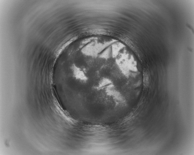 X0000102510390200808291739