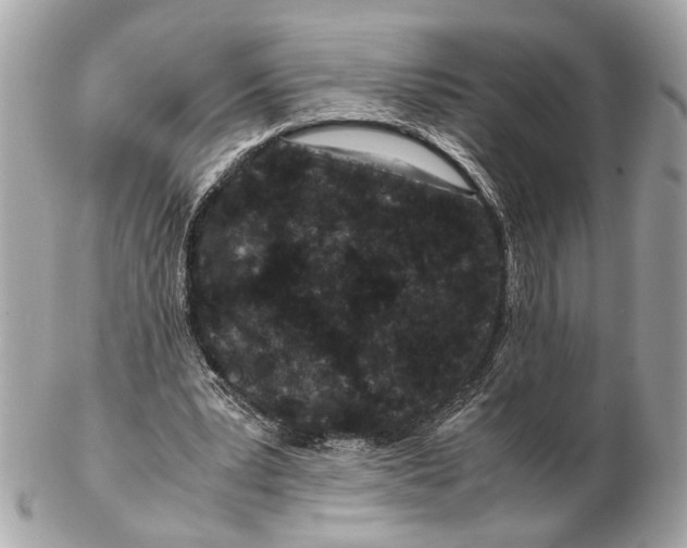 X0000102510391200808291739