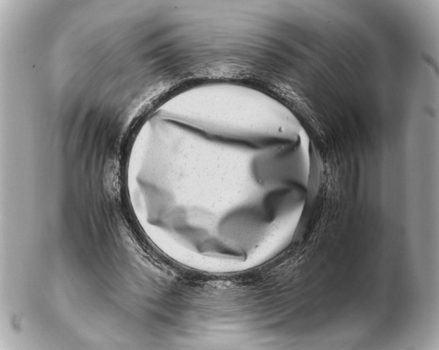 X0000102510392200808291739