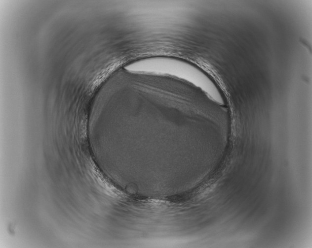 X0000102510393200808291739
