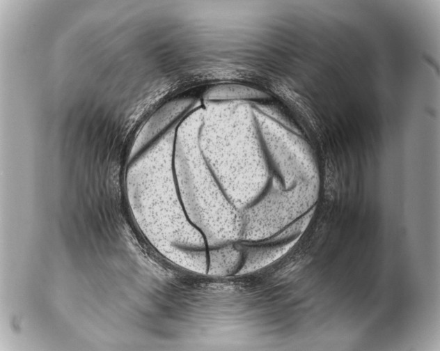 X0000102510394200808291739